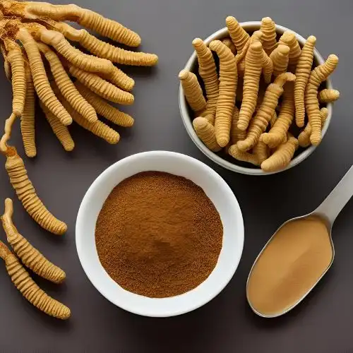 Cordyceps Militaris Extract for Mental Clarity and Focus